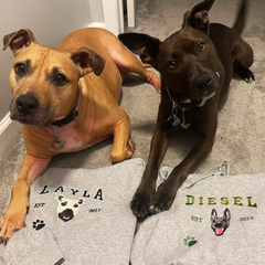 TOOOAI® Custom Embroidered Pet Hoodie - Pet Photo + Name