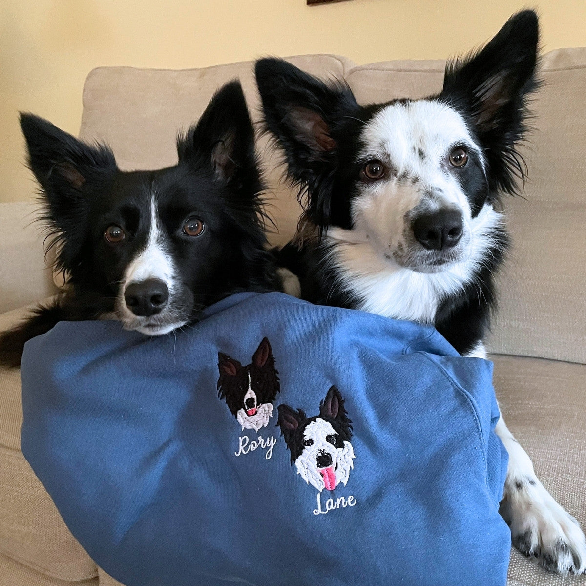 TOOOAI® Custom Embroidered Pet Hoodie - Pet Photo + Name